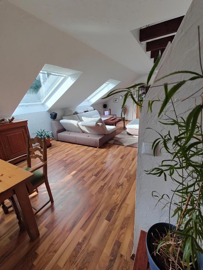 Komfort Ferienwohnung Biene Saarbrücken Eksteriør bilde